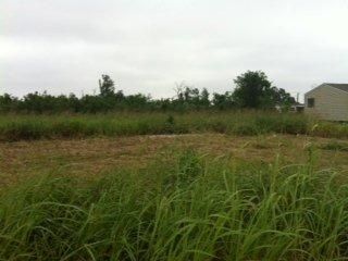 169 E. COLLINS DR., Buras, LA 70041