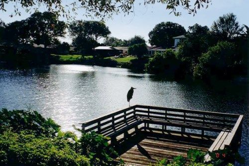 2437 HARN BLVD, Clearwater, FL 33764