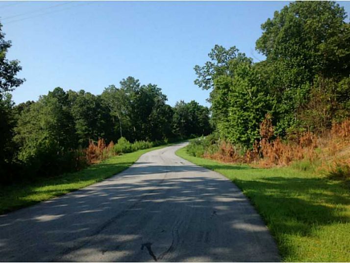 0 Bridle Ridge Lane, Canton, GA 30114