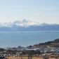59895 Winter Wren Court, Homer, AK 99603 ID:7538988