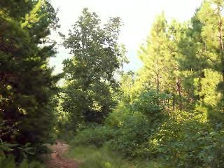 Rushing Road (CR 3840), Hagarville, AR 72839