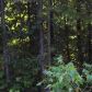 Rushing Road (CR 3840), Hagarville, AR 72839 ID:1155377