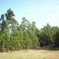 Rushing Road (CR 3840), Hagarville, AR 72839 ID:1155379