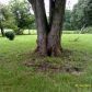 309 Jim Cline Rd, Lawndale, NC 28090 ID:951674