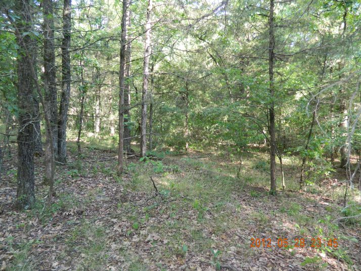 20 acres Off Hwy 164, Hagarville, AR 72839