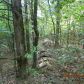 20 acres Off Hwy 164, Hagarville, AR 72839 ID:1155344