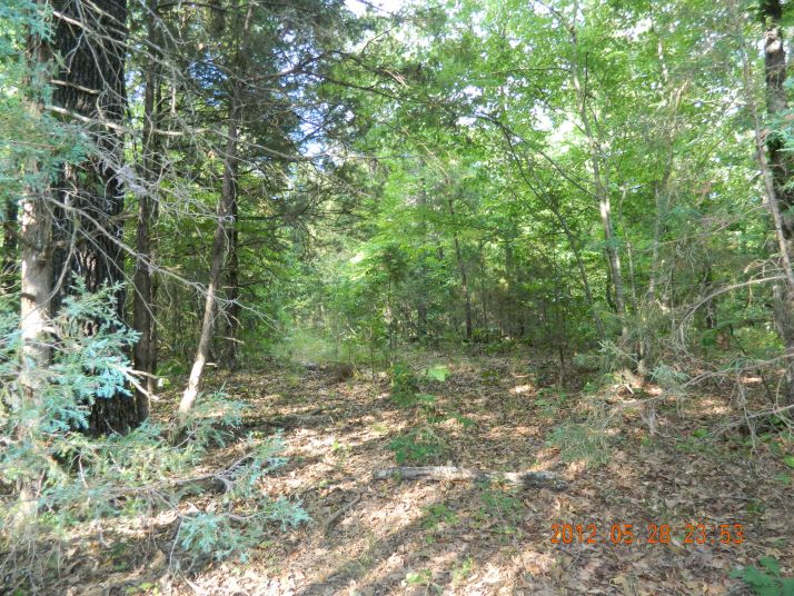 40 acres off Hwy 164, Hagarville, AR 72839