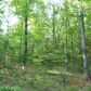 40 acres off Hwy 164, Hagarville, AR 72839 ID:1155353