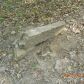 40 acres off Hwy 164, Hagarville, AR 72839 ID:1155355