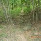 40 acres off Hwy 164, Hagarville, AR 72839 ID:1155357