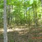 40 acres off Hwy 164, Hagarville, AR 72839 ID:1155359