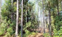 TBD SW County Rd 341 Trenton, FL 32693