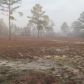 215 Huckleberry Ln, Erwin, NC 28339 ID:3785582