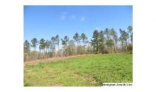 COLVIN RD 75 AC Lincoln, AL 35096