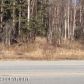 1174 N Leatherleaf Loop, Wasilla, AK 99654 ID:7227743