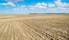 FM 520 Hansford County Gruver, TX 79040