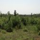 80 Acres in Cale, Cale, AR 71828 ID:1106080