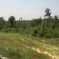 80 Acres in Cale, Cale, AR 71828 ID:1106082
