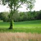 000 US 60, Salem, KY 42078 ID:2981755