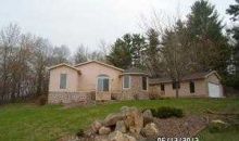 40543 Ryans Bay Rd Zumbro Falls, MN 55991