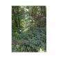 1287 Beechwood Hills Court, Atlanta, GA 30327 ID:2550460