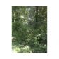 1287 Beechwood Hills Court, Atlanta, GA 30327 ID:2550462