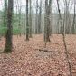 8 Porter Springs Road, Dahlonega, GA 30533 ID:6511209