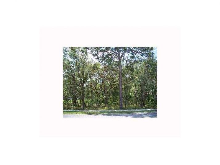 Echo Mountain Road, Hudson, FL 34667
