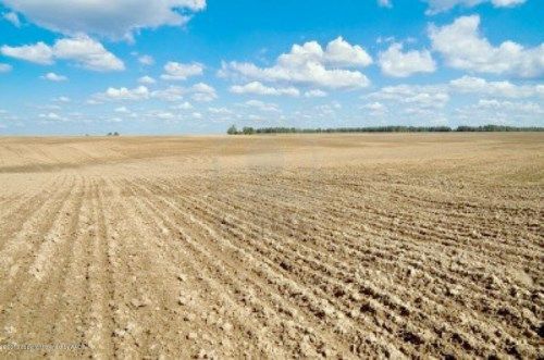 FM 520 Hansford County, Gruver, TX 79040