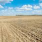 FM 520 Hansford County, Gruver, TX 79040 ID:6295446