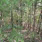 Lts 34 & 35 Mc 2082, Lead Hill, AR 72644 ID:1163888