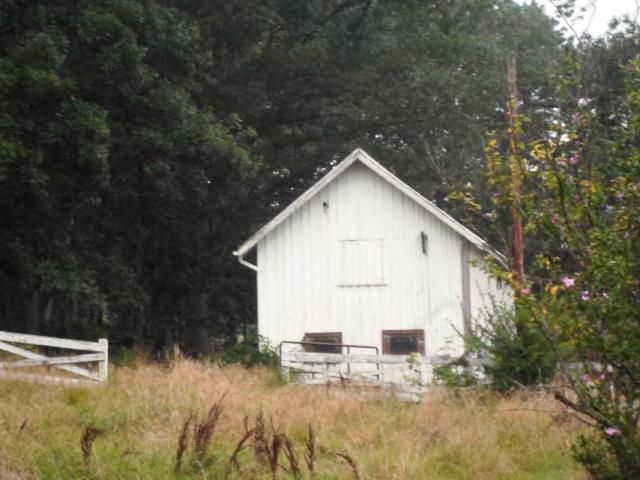 107 Palace Hotel Ln, Goshen, VA 24439