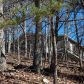 95 Starcross Lane, Jasper, GA 30143 ID:3000376