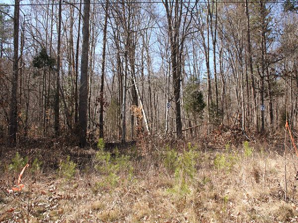 1209 John Jones Road, Bahama, NC 27503