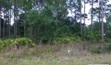 Lucy Ln S Lot 6 & 7 Panacea, FL 32346