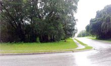 0 COUNTY RD 42 Paisley, FL 32767