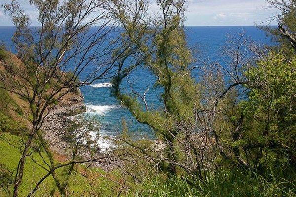 14-B AKONI PULE HWY, Kapaau, HI 96755