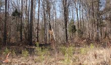 1209 John Jones Road Bahama, NC 27503