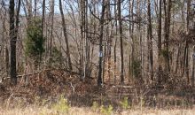 1213 John Jones Road Bahama, NC 27503