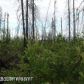 1201 S Lazy Lakes Drive, Wasilla, AK 99654 ID:3956760