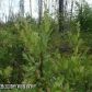 1201 S Lazy Lakes Drive, Wasilla, AK 99654 ID:3956761