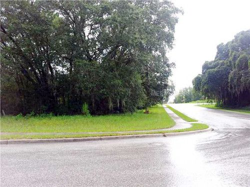 0 COUNTY RD 42, Paisley, FL 32767
