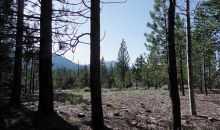 825 Cirugu St Coleville, CA 96107