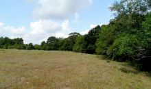 0 Battle RD Beasley, TX 77417