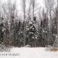 4753 S Phalarope Circle, Wasilla, AK 99654 ID:3956767