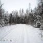 4753 S Phalarope Circle, Wasilla, AK 99654 ID:3956768