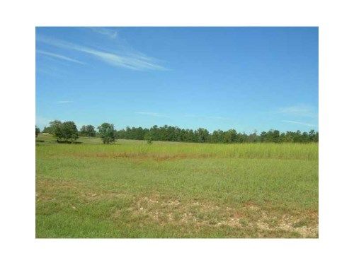 1140 Mcfaddin Lane, Newborn, GA 30056