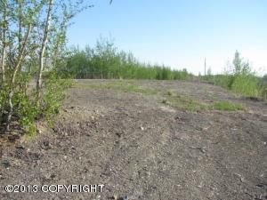 664 S Ashley Road, Big Lake, AK 99652
