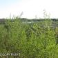 664 S Ashley Road, Big Lake, AK 99652 ID:6341342