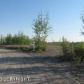 664 S Ashley Road, Big Lake, AK 99652 ID:6341343